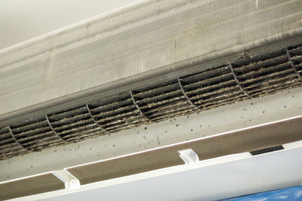 Best Local Air Duct Cleaning Services  in South Lake Tahoe, CA